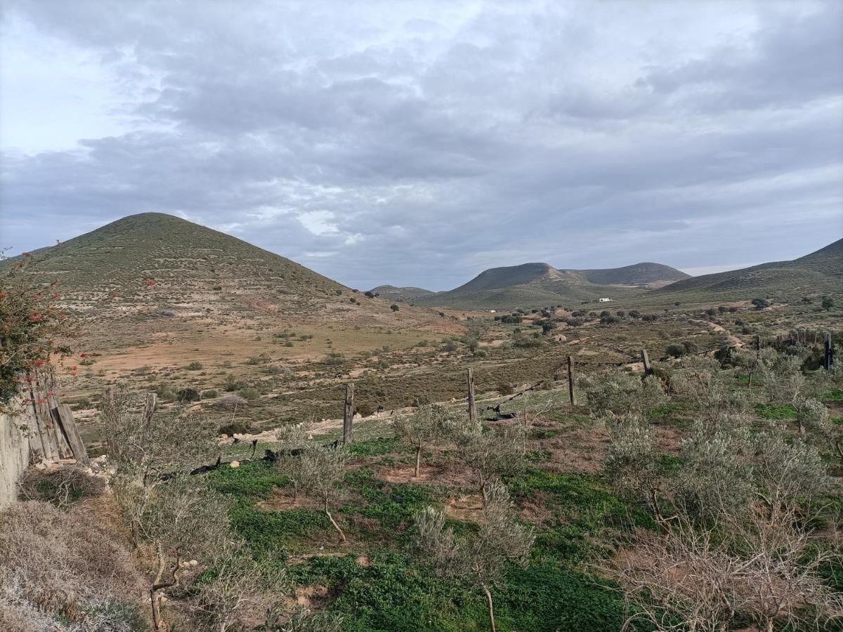 Cortijo Jayon *